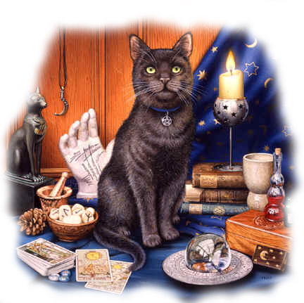 Gatto 6